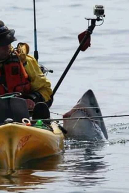 El pescador luchaba contra un temible escualo cuando su embarcación volcó y el hombre cayó desesperadamente al agua