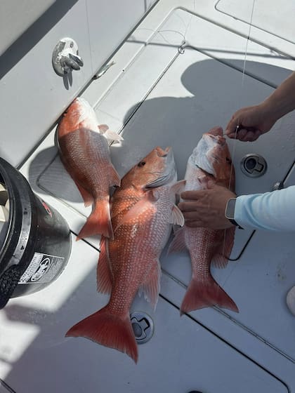 El pescador señaló que cada vez es más difícil capturar peces grandes