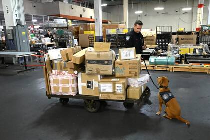 El peso total de la droga incautada fue de 668 kilos