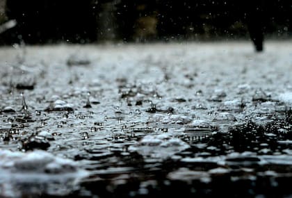 El petricor u olor a tierra mojada es la sustancia química que hace que los humanos perciban las lluvias