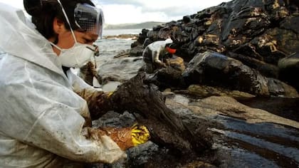 El petrolero sufrió un daño en su cubierta que provocó el accidente ambiental