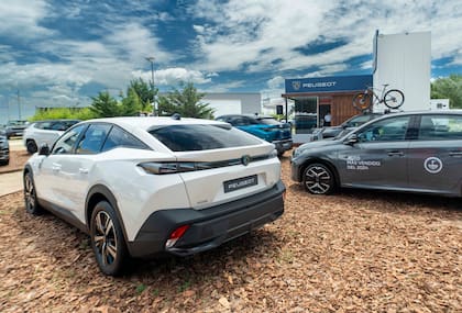 El Peugeot 408 GT comenzará a venderse en junio de 2025