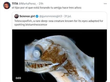 El pez telescopio causó furor entre los usuarios y los memes no tardaron en llegar (Foto: X @martuperez_)