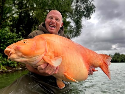 El pez tenía 20 años (Foto: Instagram/@riglocker)