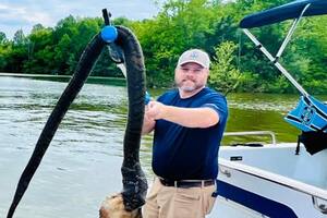 Fueron a dar un paseo en lancha y se toparon con una enorme serpiente en un lago