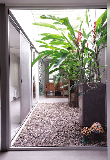El piso de este patio interno fue cubierto con piedra suelta porque no había profundidad para plantar cubresuelos ni césped de sombra.
