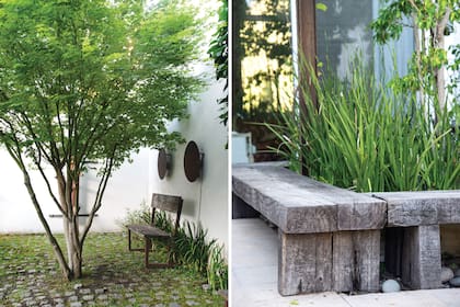 El piso húmedo debajo del Acer palmatum se resolvió con adoquines
reutilizados con juntas de dichondra (izquierda). Un banco de durmientes agrisados por el paso del tiempo contiene los Dietes bicolor plantados en macetas (derecha).