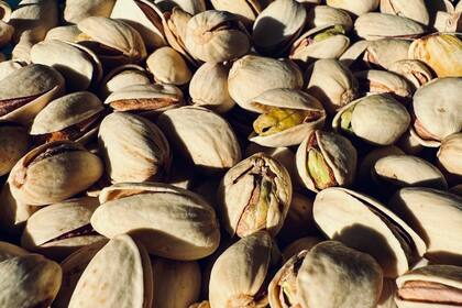 El pistacho es un cultivo de largo plazo