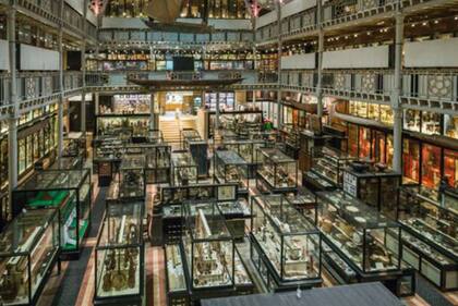 El Pitt Rivers tiene una de las colecciones antropológicas más importantes del mundo.