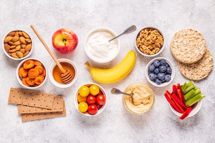 El plan de alimentación también debe ser variado y equilibrado para que además cumpla con los aportes necesarios de micronutrientes, vitaminas y minerales