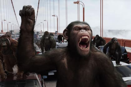 El planeta de los simios (R)evolución (2011, Rupert Wyatt)