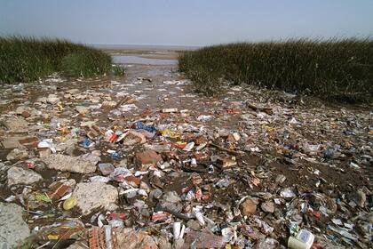 El plástico, una constante en la costa bonaerense