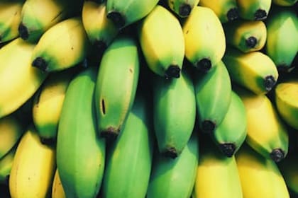El plátano tiene un tipo de almidón que puede ayudar a prevenir y tratar diversos trastornos metabólicos (Foto Pexels)