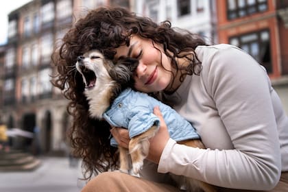El plazo para que un veterinario certifique que un animal no es apto para la compra debido a enfermedad o parásitos se amplía de 14 a 30 días