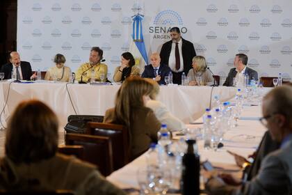 El plenario de comisiones del Senado de la Nación