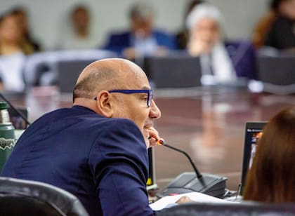 El plenario del Consejo de la Magistratura. Diego Barroetaveña