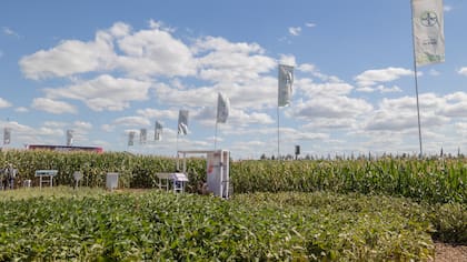 El plot de Bayer en Expoagro fue uno de los más grandes de la muestra.