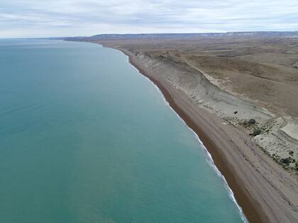 El PN Monte León tiene 62.169 hectáreas y se extiende en el límite entre dos ambientes disímiles, el mar y la estepa.