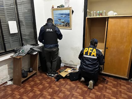 El Poder Ejecutivo aspira a que la Policía Federal se convierta en un Departamento Federal de Investigaciones