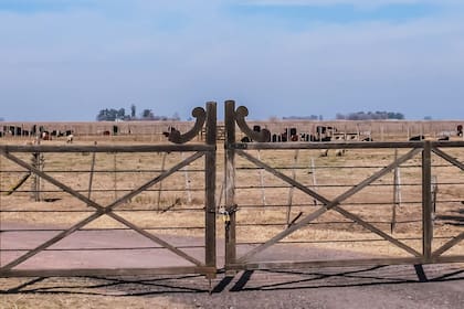 El Poder Ejecutivo modificará la Ley de Tierras a través de un paquete de leyes que enviará al Congreso