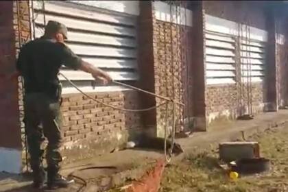 El policía de la Unidad Especial Rural y Ecológica de Corrientes se acerca con cautela para atrapar al yacaré instalado en el patio de una escuela