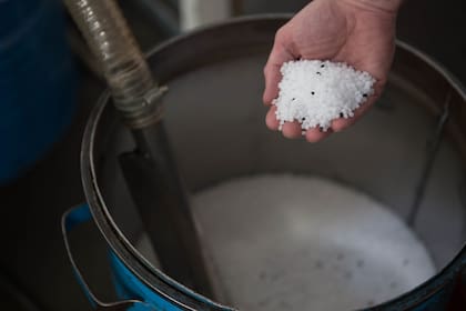 El polipropileno junto con los pellets de masterbatch.