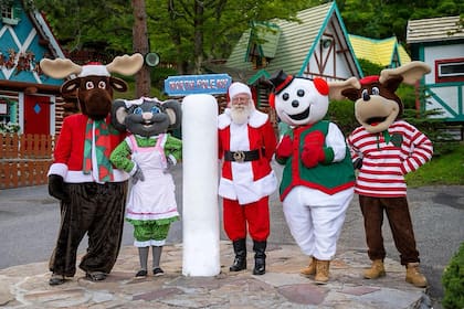 El Polo Norte en Nueva York se fundó en 1941 y atrae la atención de miles de espectadores cada año (Instagram/@northpoleny)