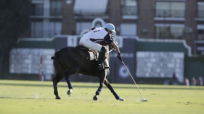 El polo, uno de los deportes hípicos más populares de la Argentina