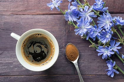 El polvo de raíz de achicoria podría reemplazar el café de tus mañanas