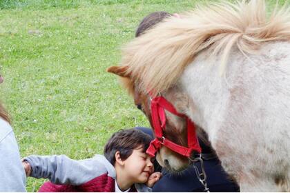 El pony General San Martín recibe el saludo afectuoso de Jeremías