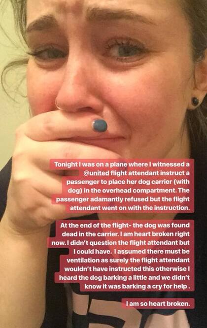 El post en Facebook de la dueña del perro: “Mi corazón está roto. Estoy en shock y no sé cómo voy a dormir”.