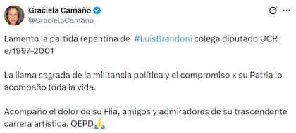 El posteo de Camaño