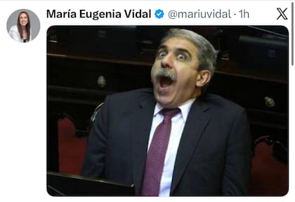 El posteo de Vidal