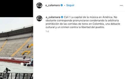 El posteo de Andrés Calamaro previo al show "corresponde pronunciarse condenando la arbitraria prohibición de las corridas de toros en Colombia"