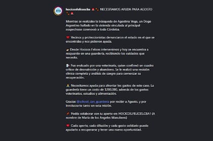 El posteo de Hocicos Felices, la ONG con sede en Córdoba que organizó el rescate del dogo argentino abandonado en la casa de Claudio Barrelier
