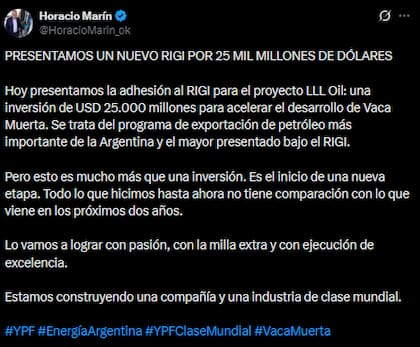 El posteo de Horacio Marín donde anunció un nuevo RIGI