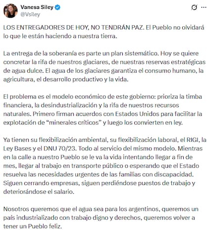El posteo de la diputada nacional por Fuerza Patria