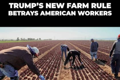 El posteo de la UWF contra las medidas anunciadas por Trump