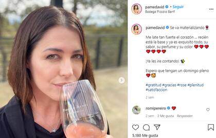 El posteo de Pamela David promocionando su nuevo vino