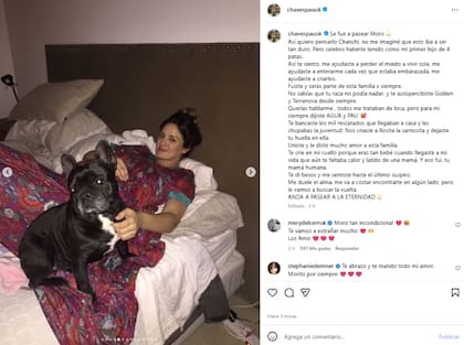 El posteo de Paula Chaves para despedir a Moro (Foto: Instagram @chavespauok)