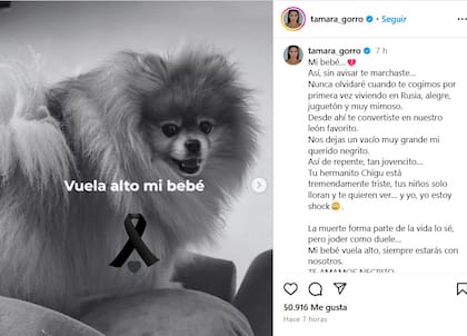 El posteo de Tamara Gorro