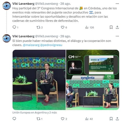 El posteo de Viktoria Lovenberg, de la UE