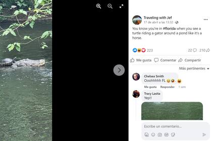 El posteo del usuario con la foto de la tortuga y el caimán