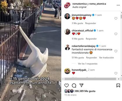 El posteo del video viral con la reacción de los usuarios en la sección de comentarios