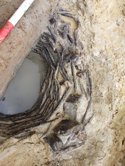 El pozo de madera pudo servir como un recipiente seguro para conservar el agua que más tarde utilizarían en la agricultura