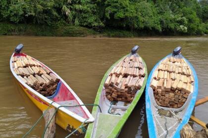 El precio de balsa se triplicó durante la fiebre de extracción de 2019 y 2020
