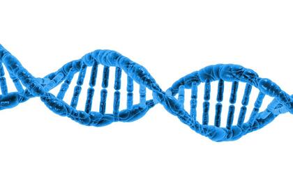 El precio para secuenciar el genoma va de 1.000 a 3.000 dólares.