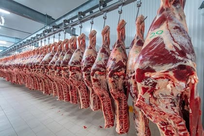 El precio promedio de exportación de carne bovina refrigerada y congelada resultó en enero de 2024 de US$3843 por tonelada, un 4% superior al obtenido en diciembre de 2023 y un 6,1% más bajo que el precio medio de enero de 2023, que había sido de US$4094 por tonelada