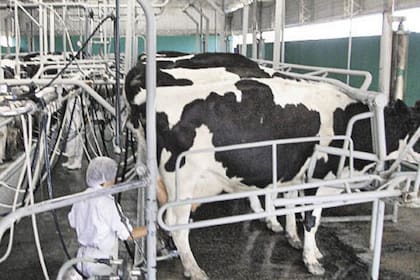 Números preocupantes: la producción de leche marcó una baja histórica y sufre por el arrastre de un fenómeno 4 El precio promedio de la leche es de aproximadamente US$0,40 por litro, en comparación con US$0,28 a 0,30 centavos de dólar en años anteriores, lo que facilita la compra de insumos dolarizados a pesar de la devaluación