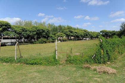 Los espacios forman parte del parque La Isla de la Paternal y para los vecinos de la zona son el eje de la resistencia al emprendimiento inmobiliario